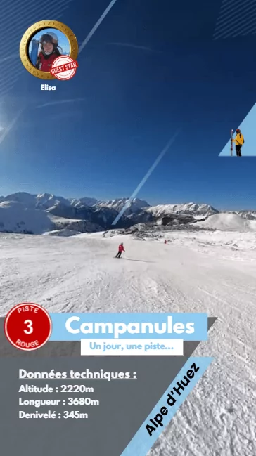 Aperçu de Campanules